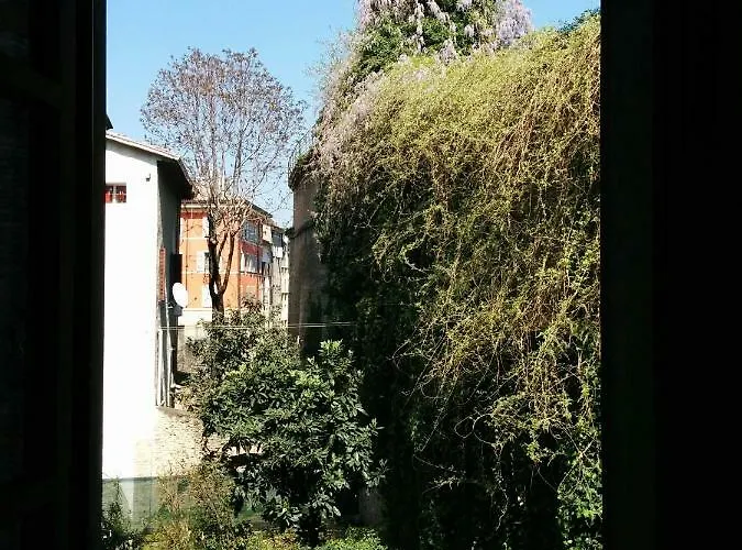 Apartment Honey House