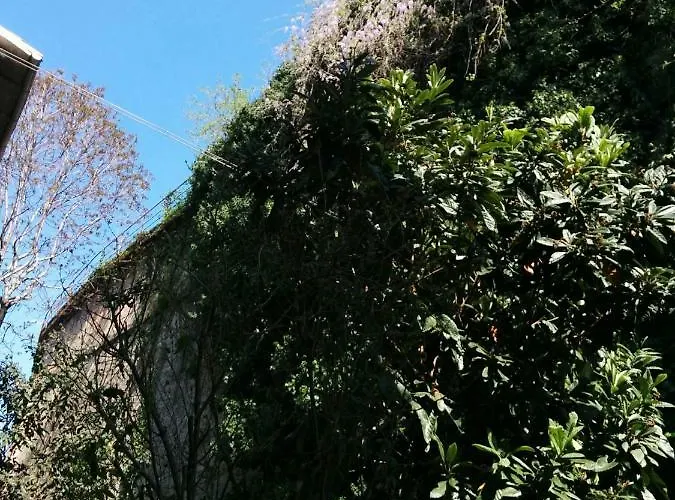 Apartamento Honey House Parma