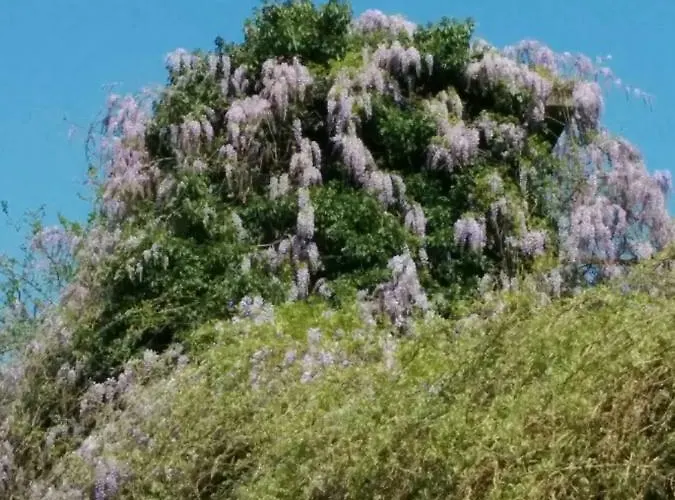 Apartamento Honey House Parma